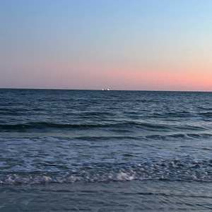 Meet your Posher, Patti